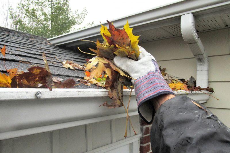 Removing Leaves from Gutters