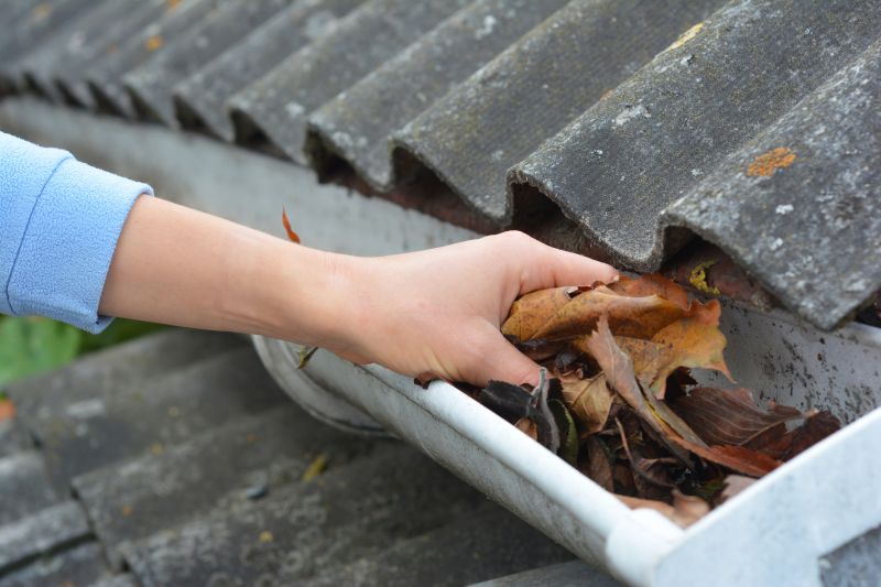 Clean Gutter Systems